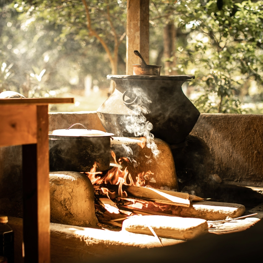 ayurveda-kur-buchen8